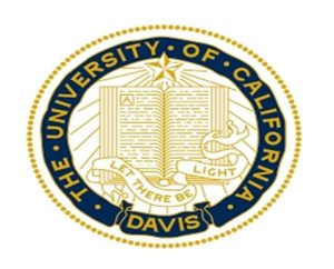 California State University Davis