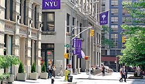 New York University