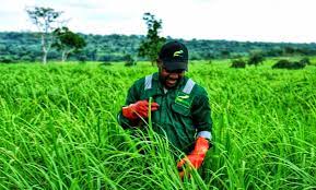 Industrial Farmers