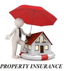 Property Insurance