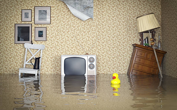 flood insurance